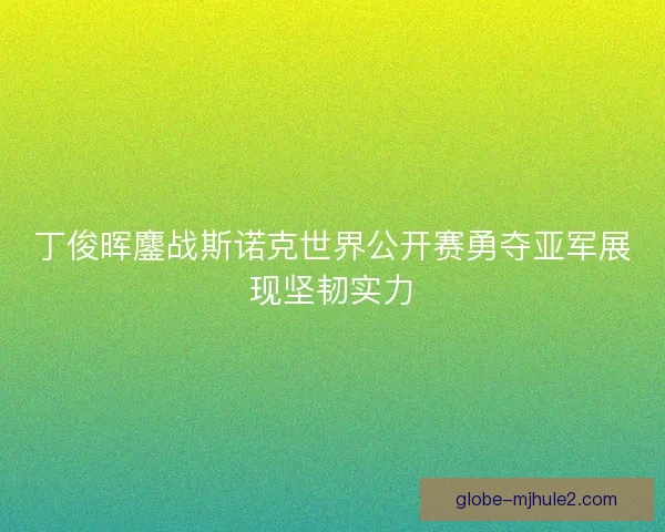 丁俊晖鏖战斯诺克世界公开赛勇夺亚军展现坚韧实力