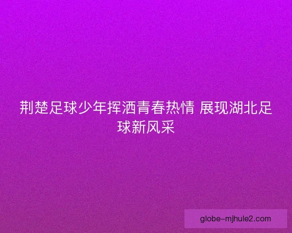 荆楚足球少年挥洒青春热情 展现湖北足球新风采